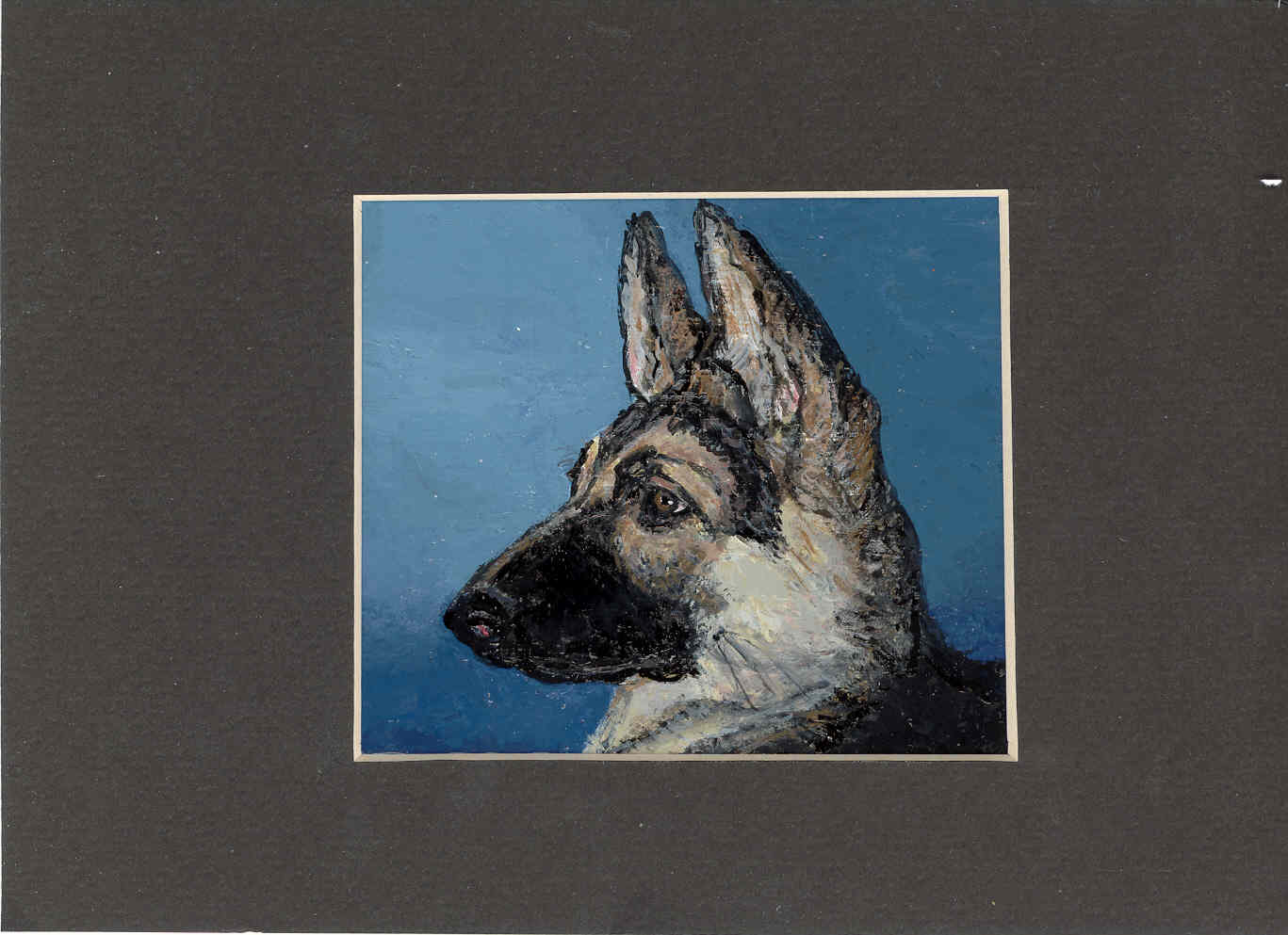 German Shepard